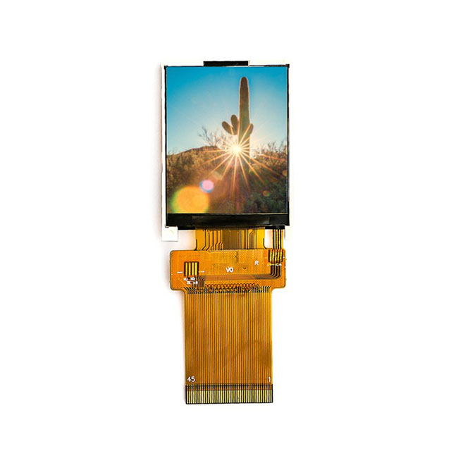 Focus LCDs E17RG11216LW6M300-R electronic component product image