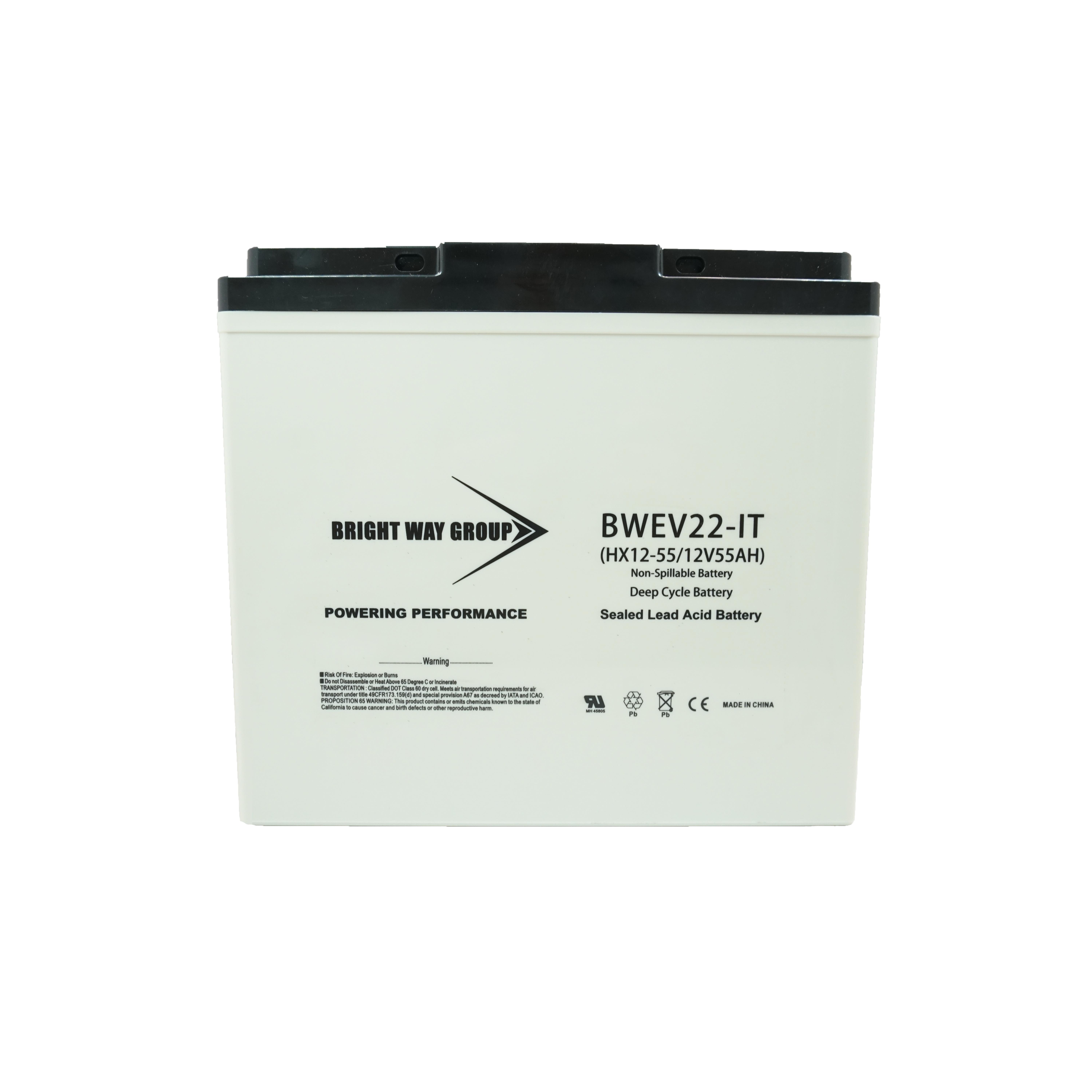 Continental Battery Systems BW EV22 IT (GROUP 22NF) electronic component product image
