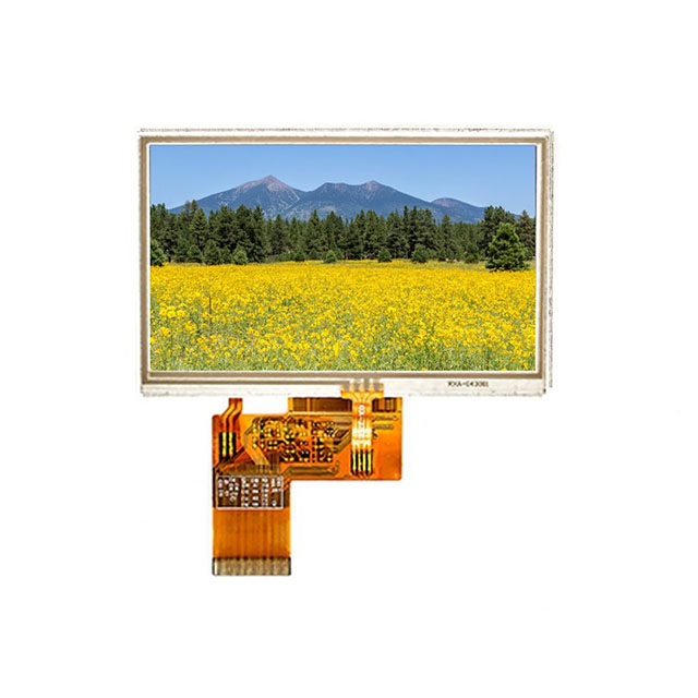 Focus LCDs E43RG63248LW2M170-R electronic component product image