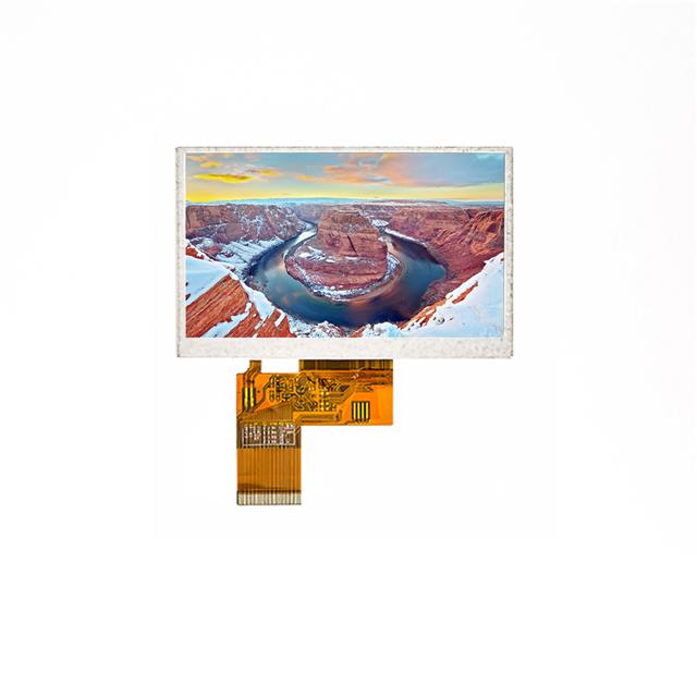 Focus LCDs E43RG63248LW2M220-N electronic component product image
