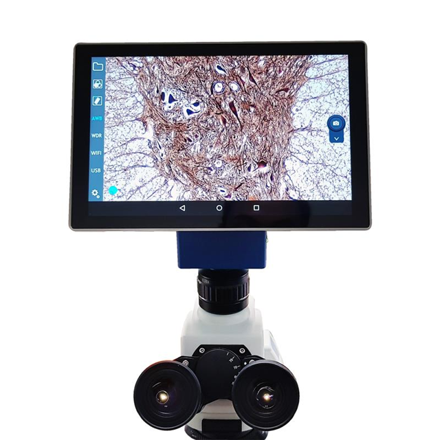 Velab Co. VE-SCOPEPAD 300 electronic component product image