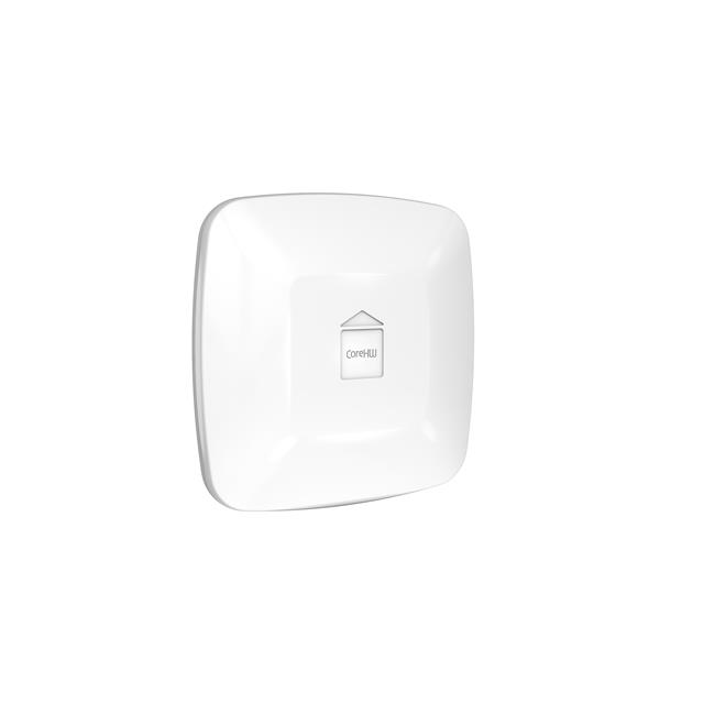 CoreHW Semiconductor Ltd CHW1010-LOCN2-1.0 electronic component product image