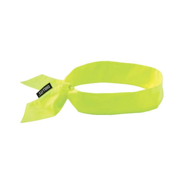 Ergodyne 12301 electronic component product image
