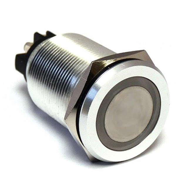 Linrose Electronics, Inc. SW19SSM252 electronic component product image