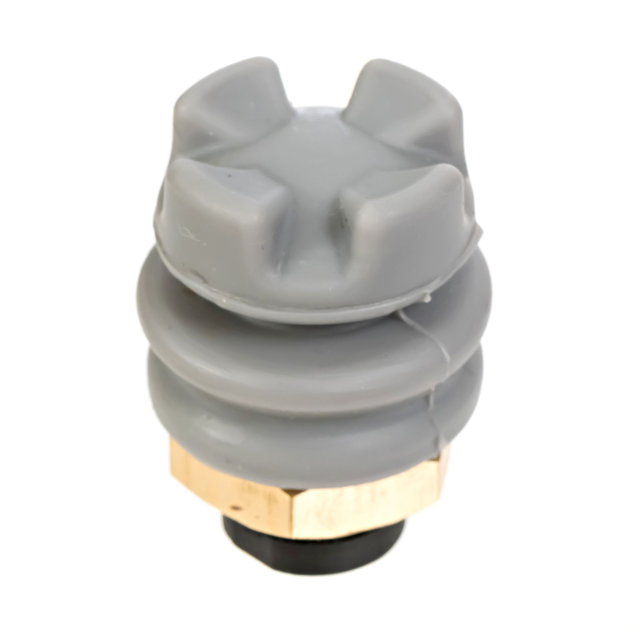 Ruffy Controls Inc. TS2-1-S-T-2-C-GY electronic component product image