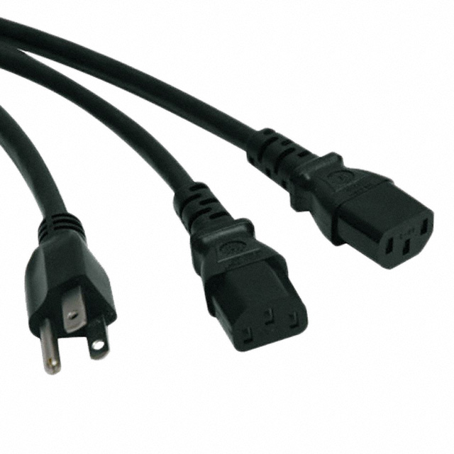 Eaton Tripp Lite P006-006-2 electronic component product image