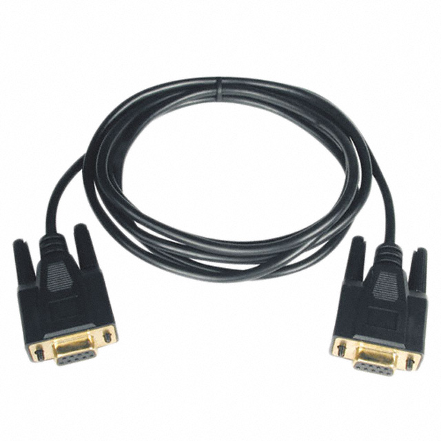 Eaton Tripp Lite P450-010 electronic component product image