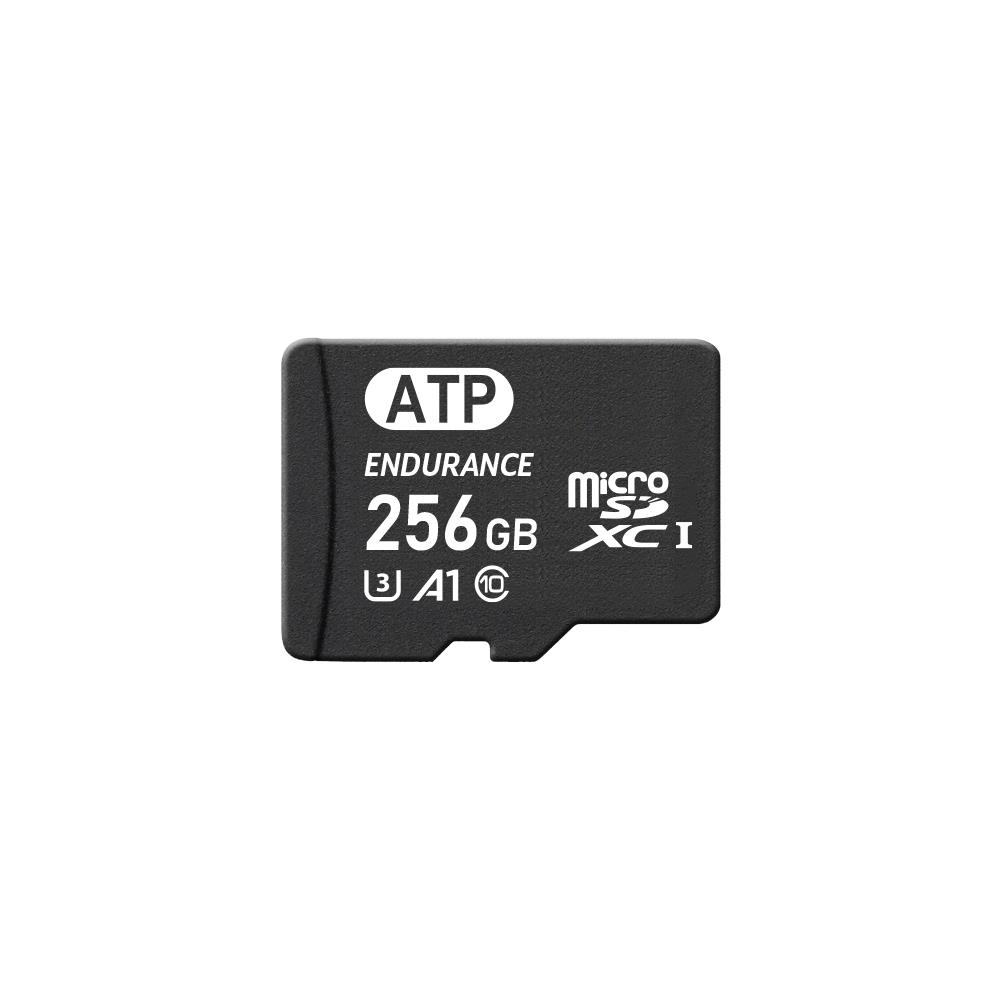 ATP Electronics, Inc. AF256GUD4-EBAIM electronic component product image