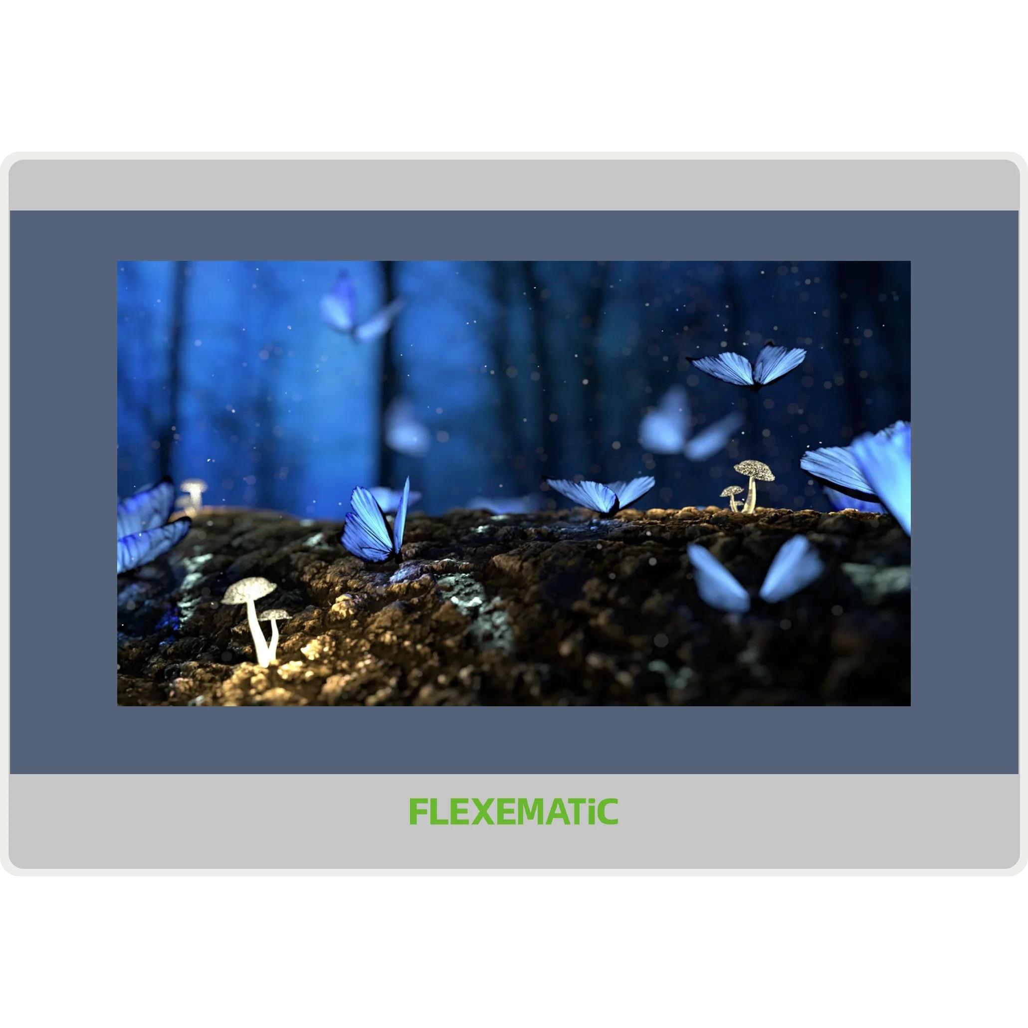 FLEXEMATIC FS907R electronic component product image