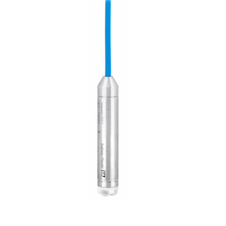 Endress+Hauser FMX11-CA11GS10 electronic component product image