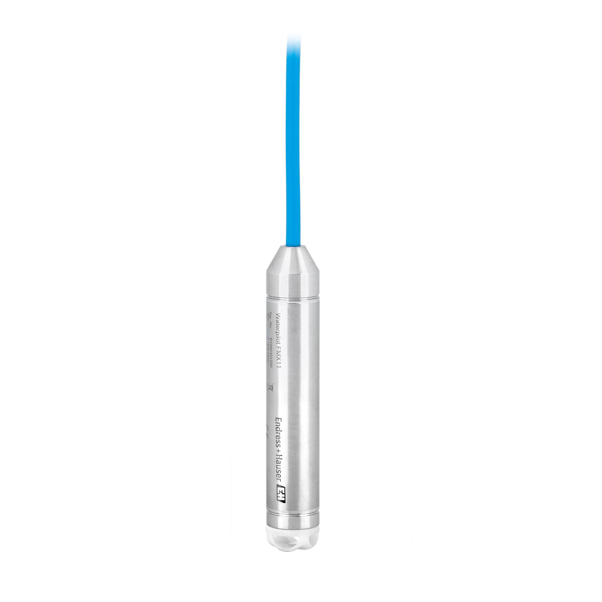 Endress+Hauser FMX11-CA11DS10 electronic component product image