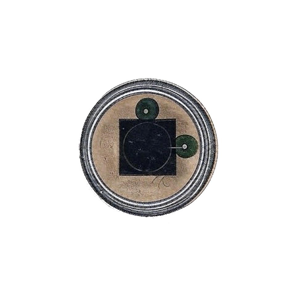 GPD Optoelectronics Corp. GV500-T8 electronic component product image
