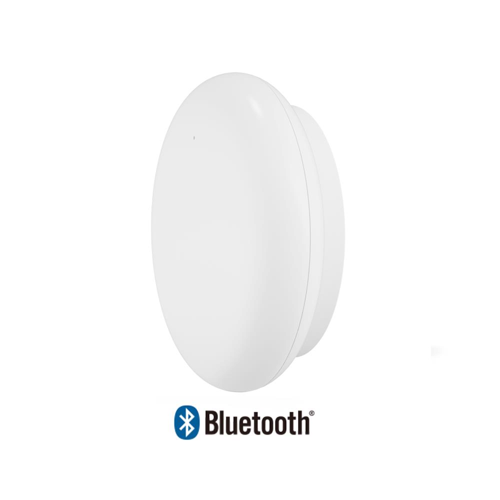 MINEW BLE-MSR01-B -Only electronic component product image