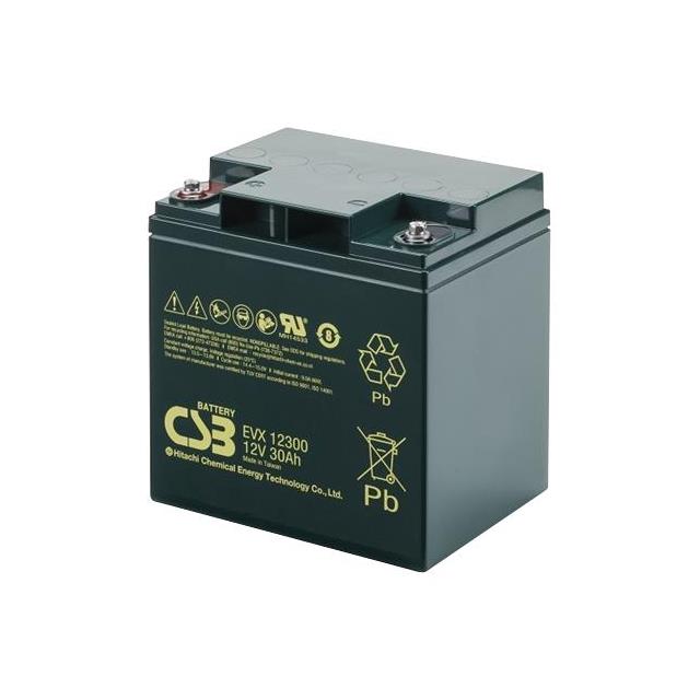 Battery Store, Inc. EVX12300 electronic component product image