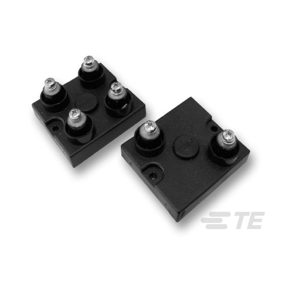 TE Connectivity Passive Product BDS2A100250RJ electronic component product image