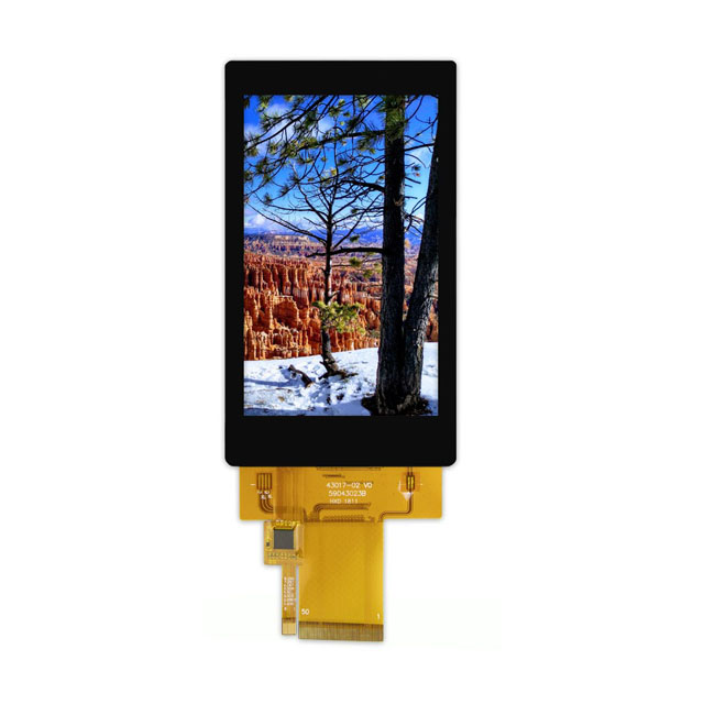 Focus LCDs E43RG64880LWAM450-C electronic component product image