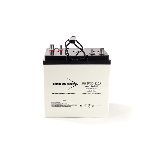 Continental Battery Systems BW EVGC6-220A electronic component product image
