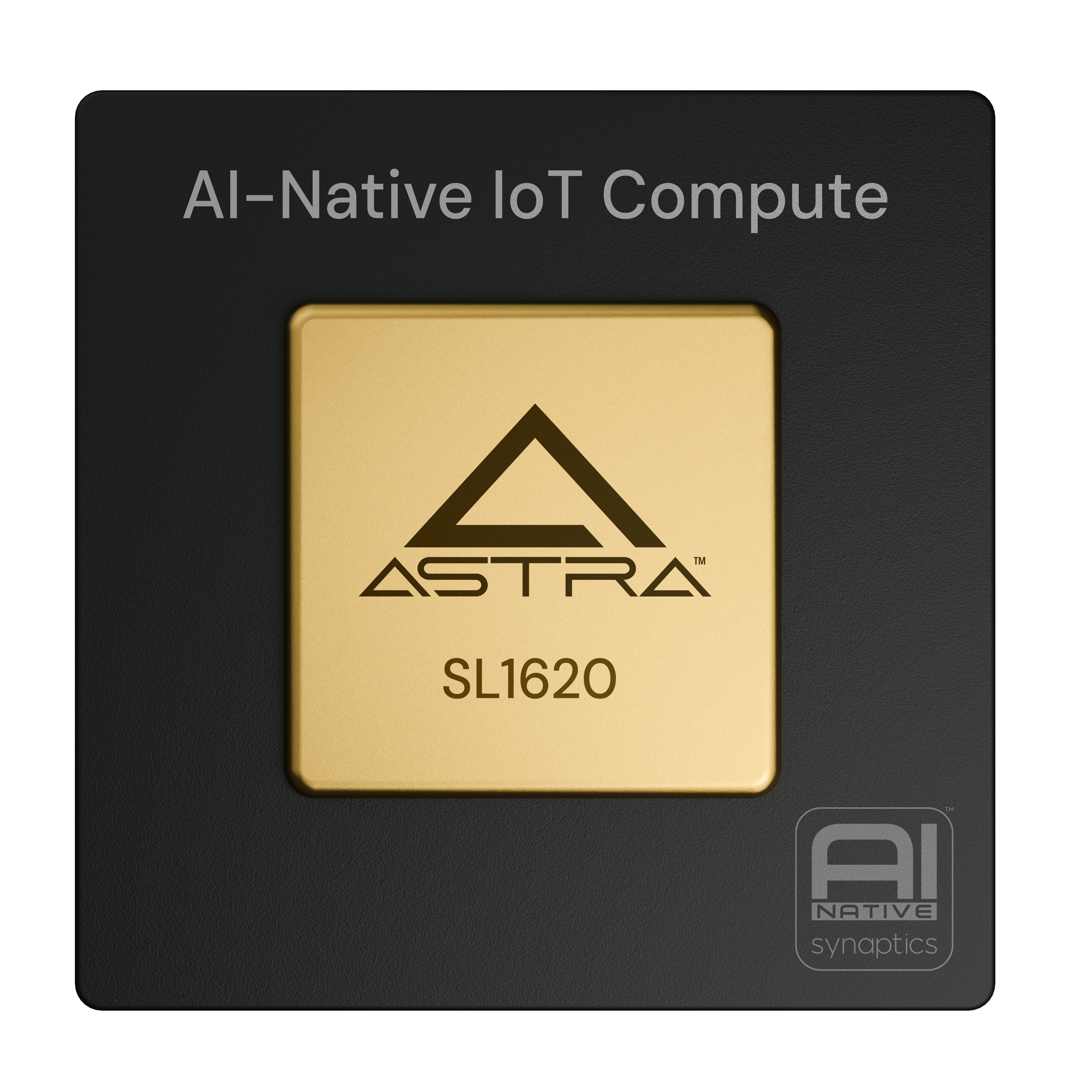 Synaptics SL1620B0-BYOXSZZ-T000-T electronic component product image