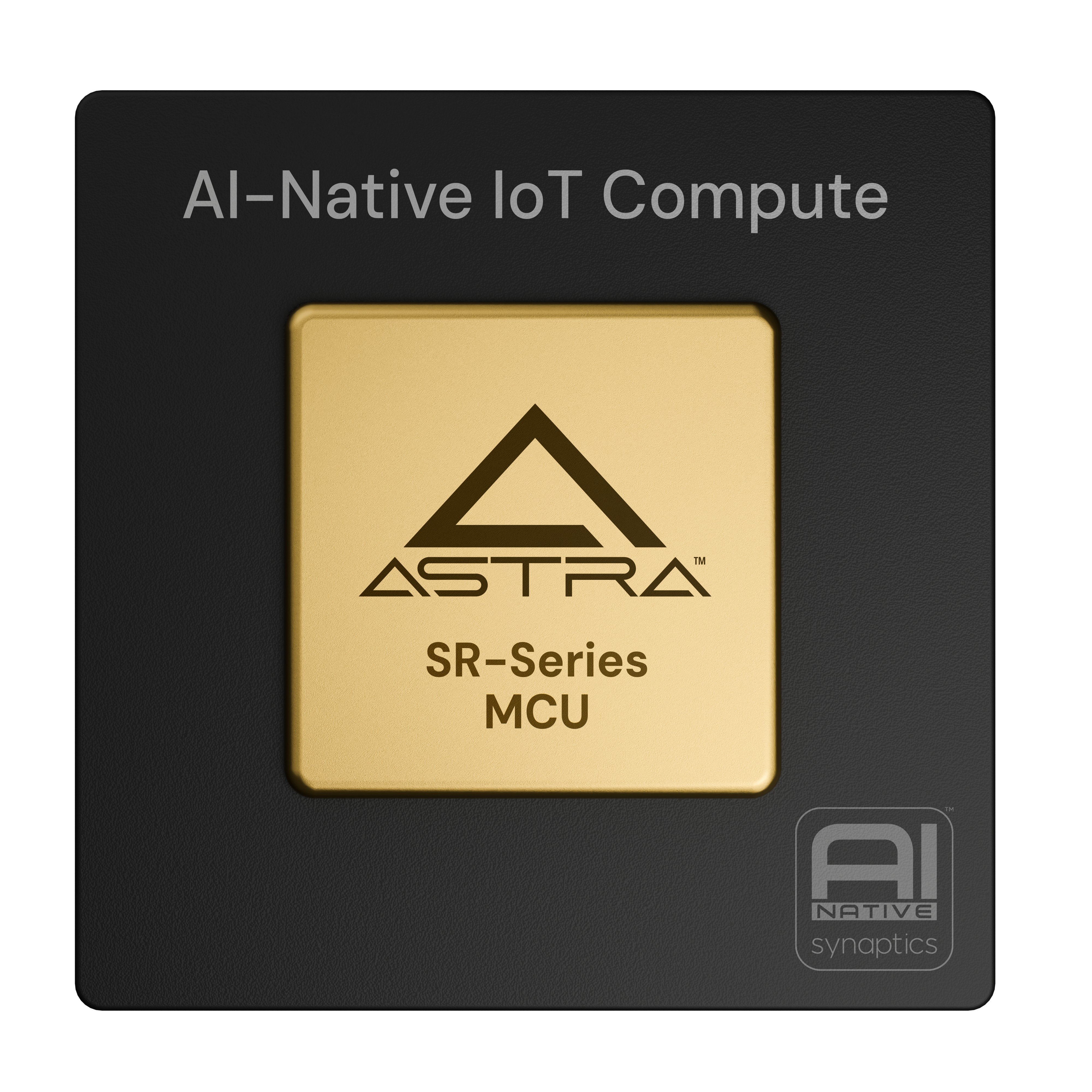 Synaptics SR110B0-BA0000-A000-T electronic component product image