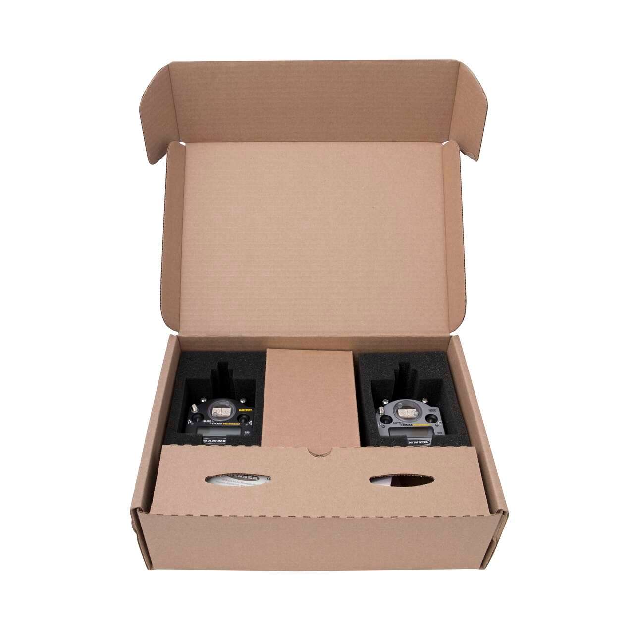 Banner Engineering Corporation DX80K9M6-PM2 electronic component product image