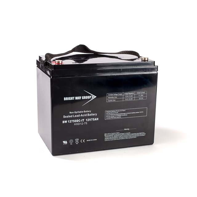 Continental Battery Systems BW 12750 IT (GROUP 24) electronic component product image